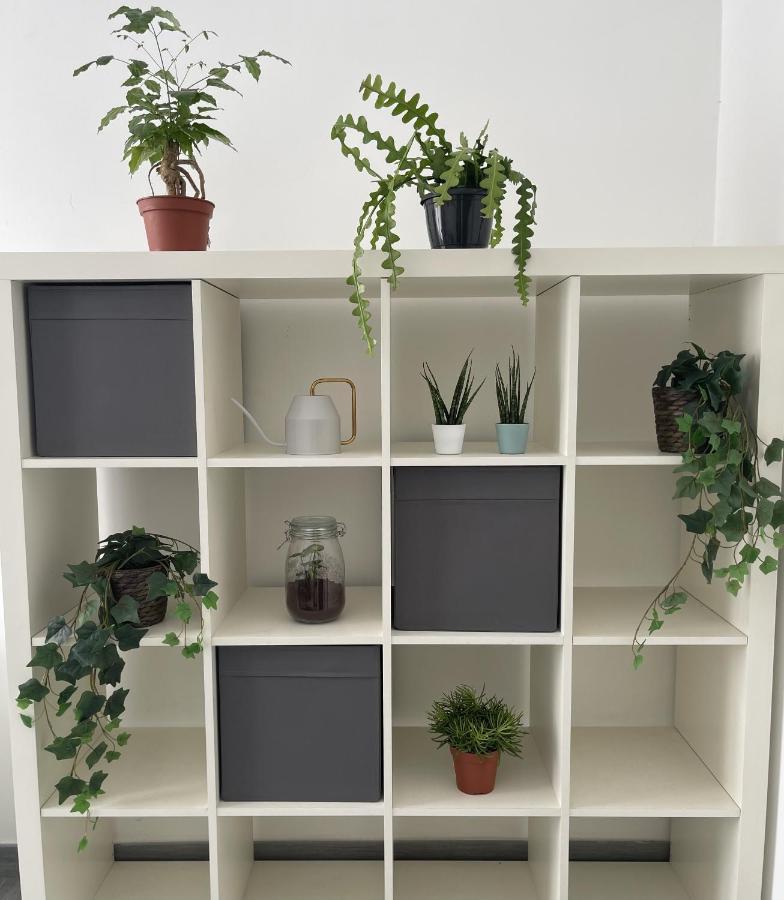 Appartamento Ami House